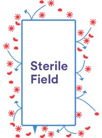 Steriili alue