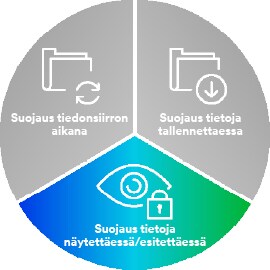 Ympyräkaavio, jossa on tiedonsiirtoa, tallennusta ja tietojen katselua kuvaavia kuvakkeita