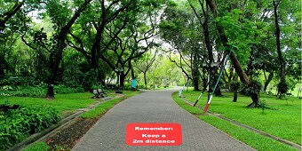 Puu tien varrella
